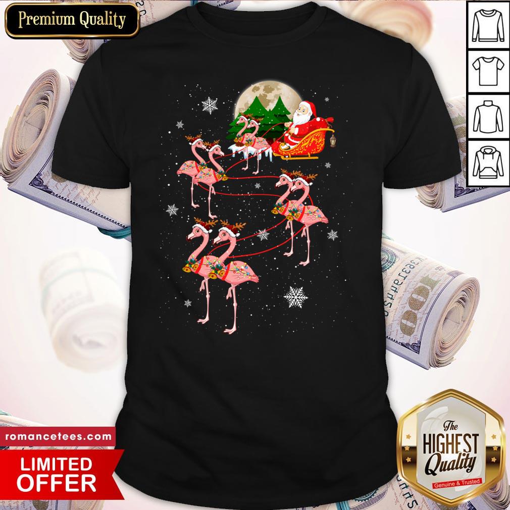 Funny Flamingo Santa Christmas Shirt