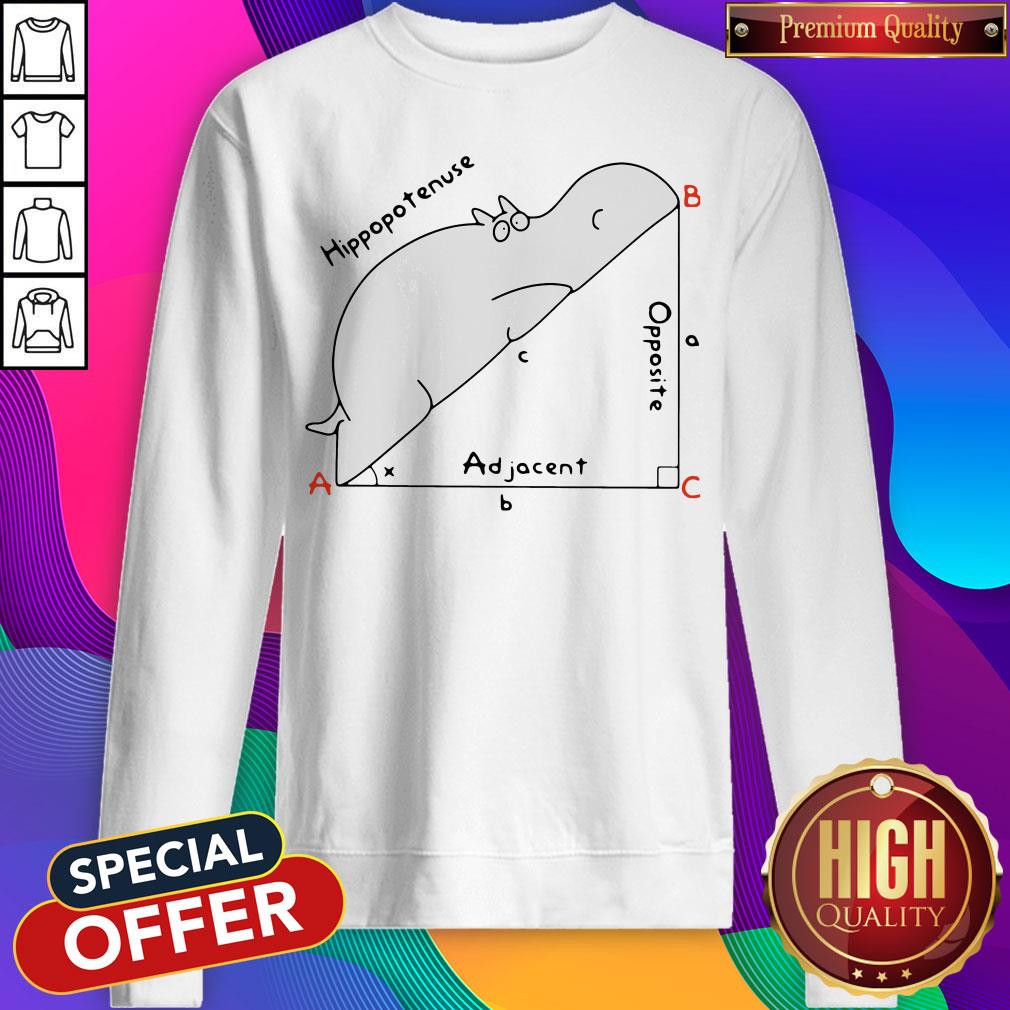 Hippotenuse Adjacite The Math Hippo Shirt