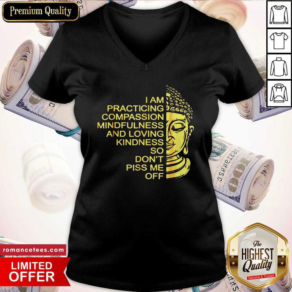 hot-buda-i-am-practicing-compassion-mindfulness-and-loving-kindness-so-dont-piss-me-off-v-neck.jpg