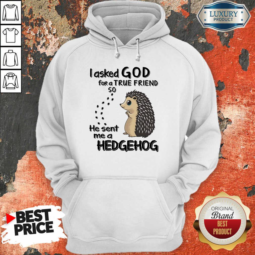 I Asked God A True Friend He Sent A Hedgehog Shirt