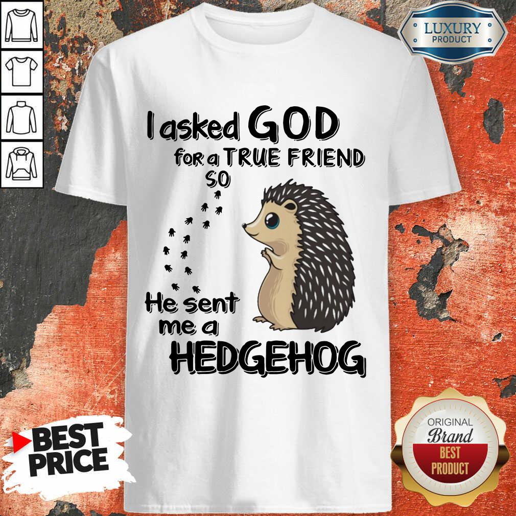 I Asked God A True Friend He Sent A Hedgehog Shirt