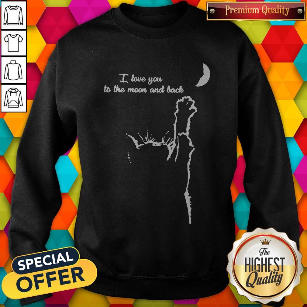 I Love You To The Moon And Back Shirt