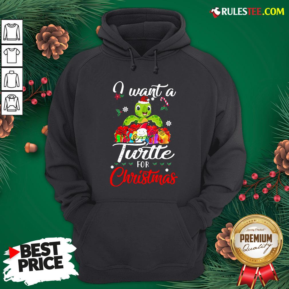 Official I Want A Turtle For Christmas Shirt