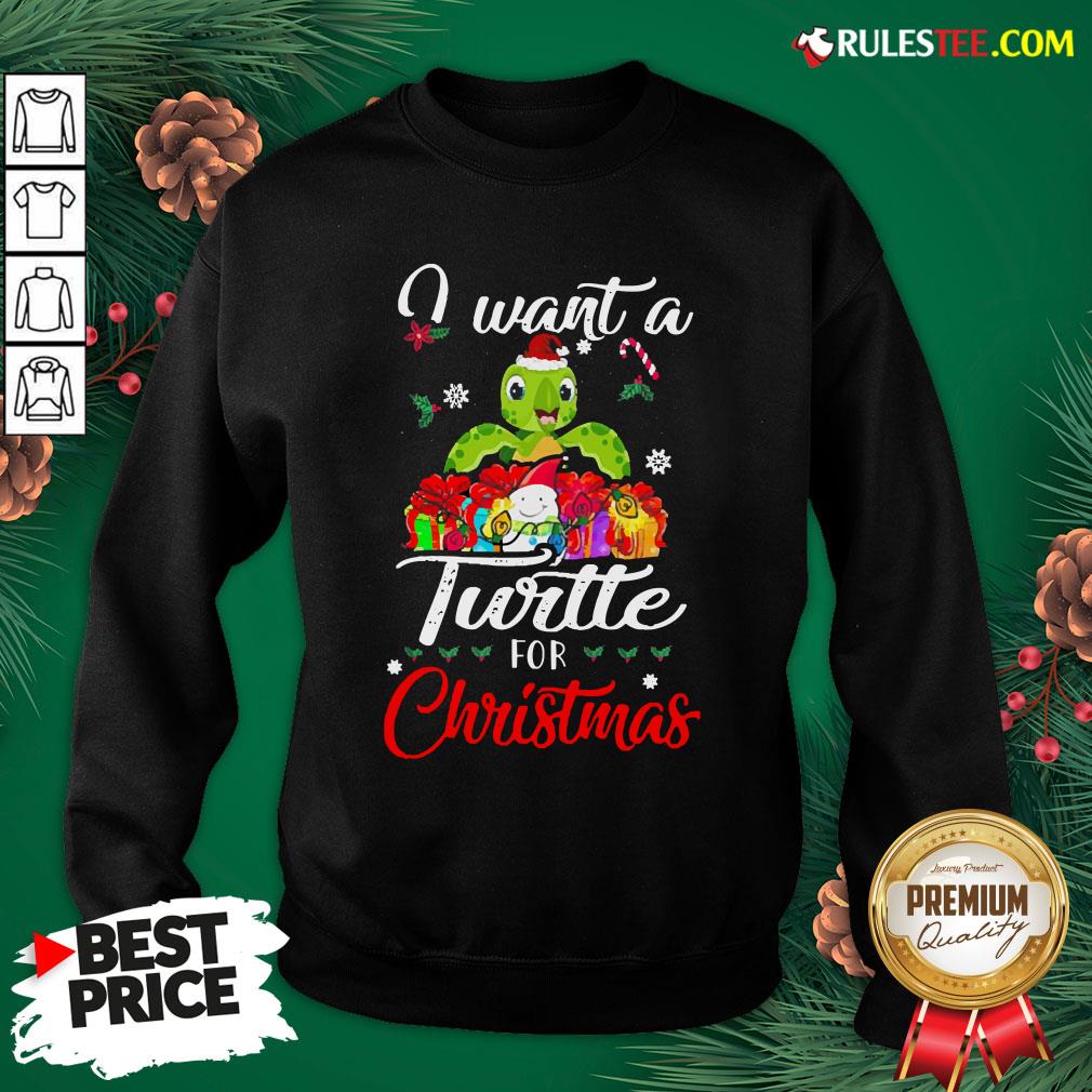 Official I Want A Turtle For Christmas Shirt