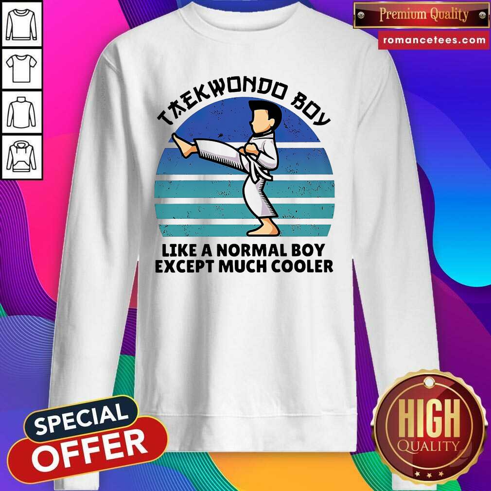 Premium Vintage Taekwondo Boy Like A Normal Boy Except Much Cooler Shirt