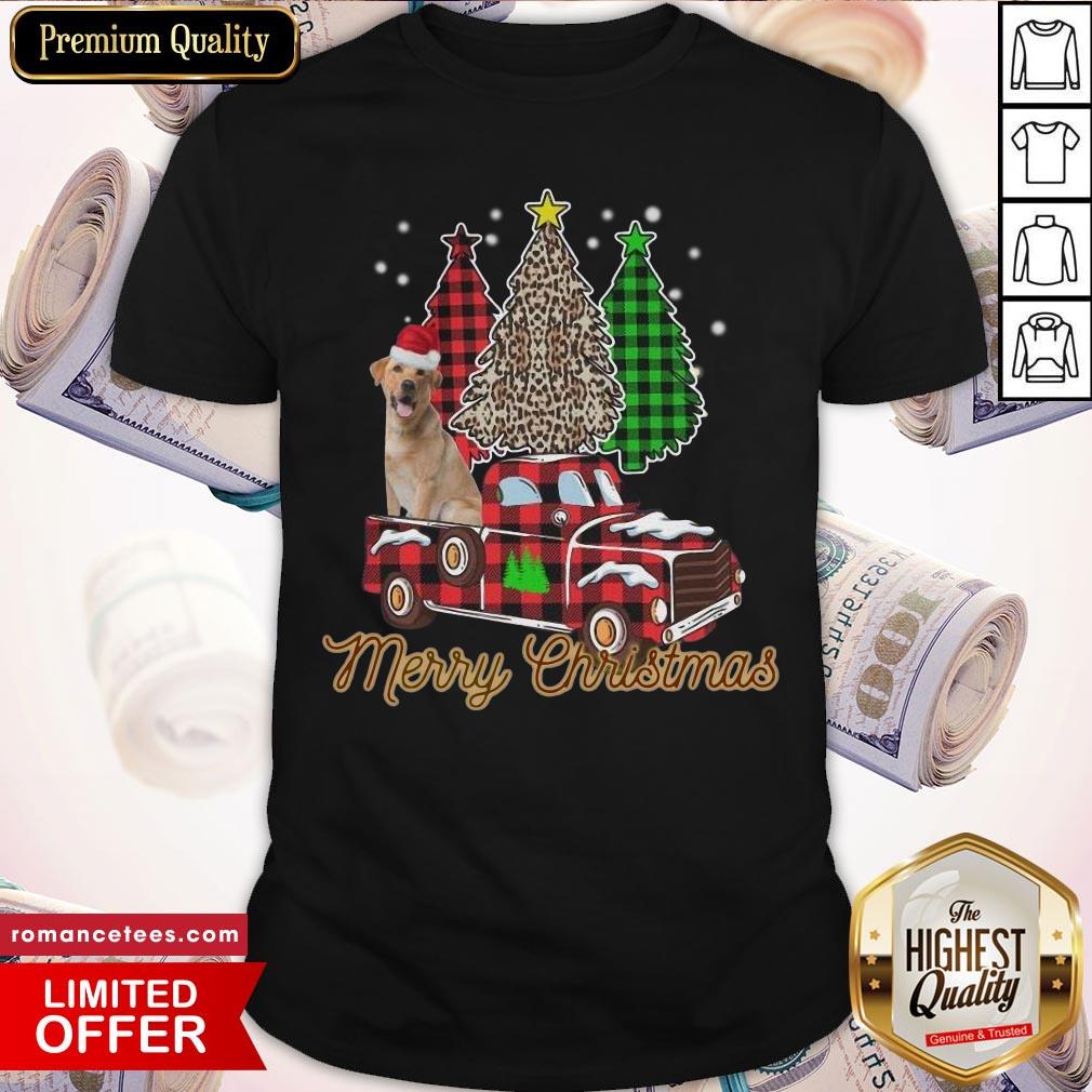 Top Santa Dog Merry Christmas Tree Shirt