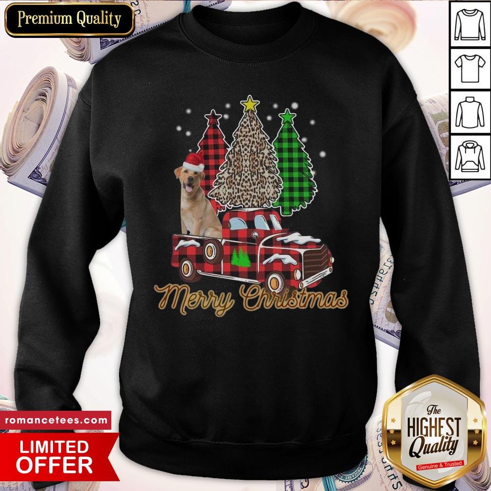 Top Santa Dog Merry Christmas Tree Shirt