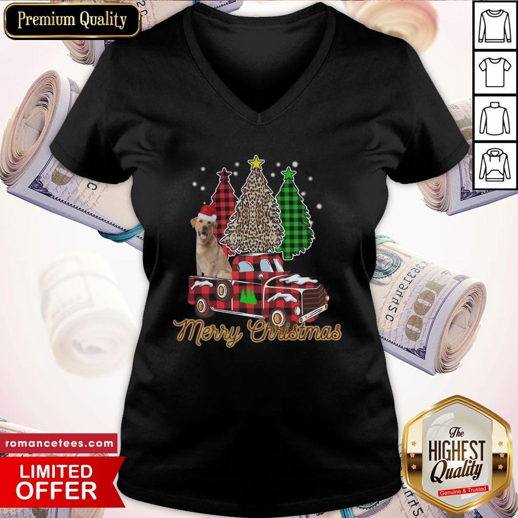 Top Santa Dog Merry Christmas Tree Shirt