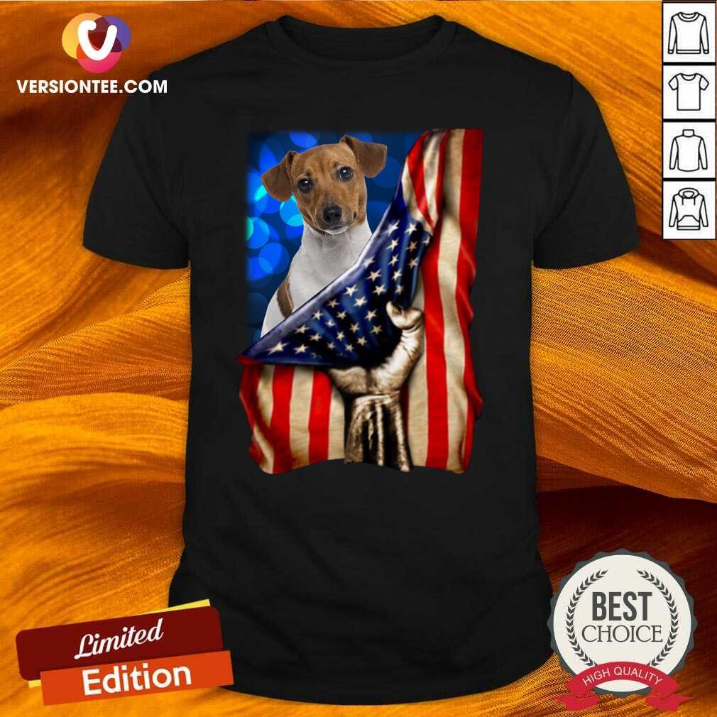 Nice Jack Russell Terrier America 4th Of July Independence Day Shirt