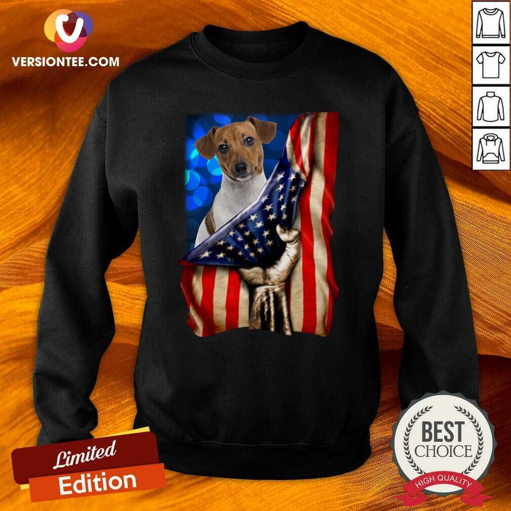 Nice Jack Russell Terrier America 4th Of July Independence Day Shirt