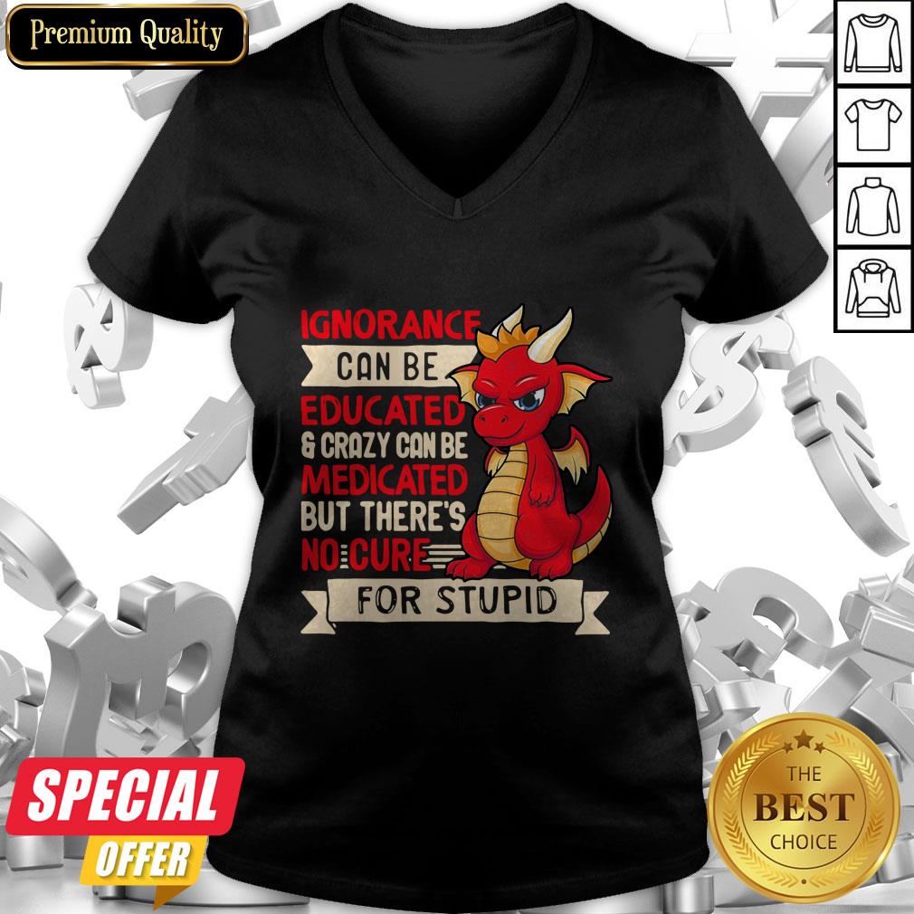 dragon-ignorance-can-be-educated-crazy-can-be-medicated-but-theres-no-cure-for-stupid-v-neck.jpg