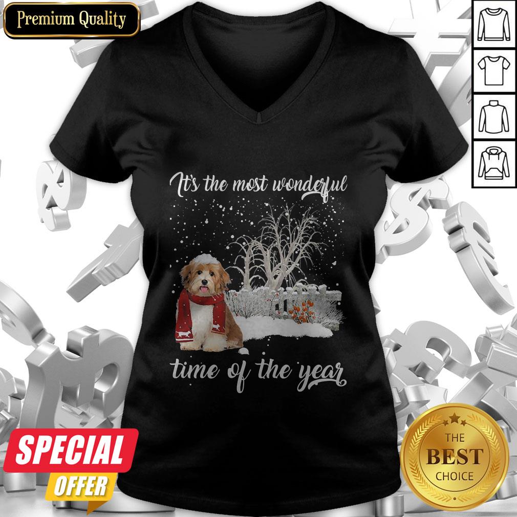 Havanese It’s The Most Wonderful Time Of The Year Shirt
