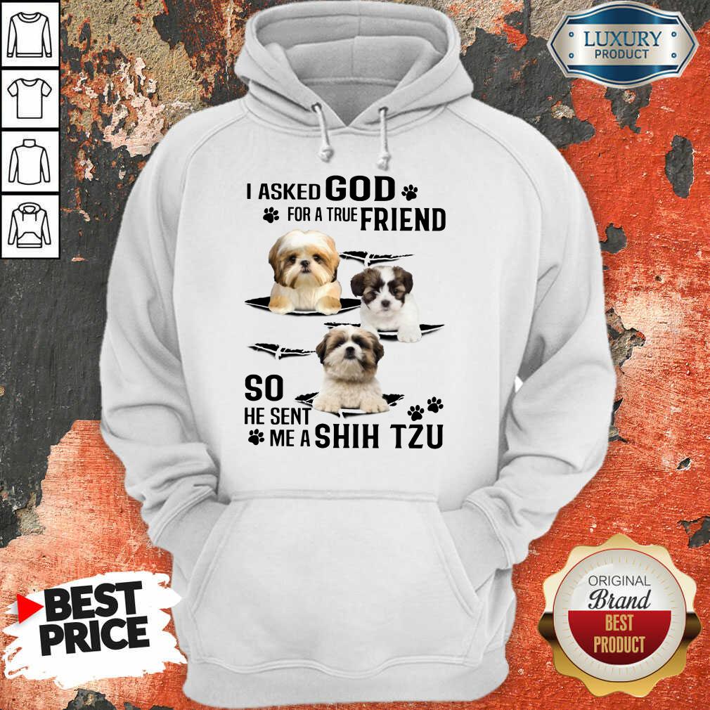 I Asked God For A True Friend So He Sent Me A Shih Tzu Shirt