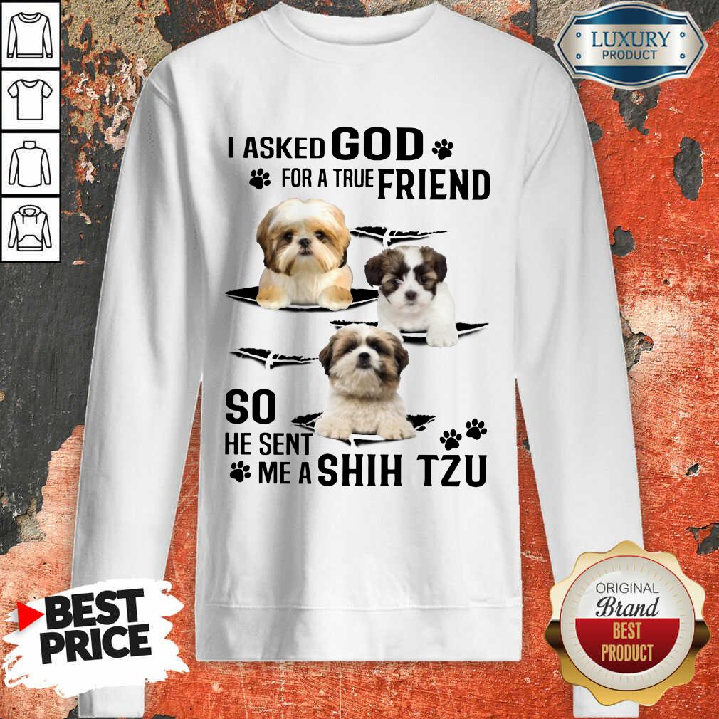 I Asked God For A True Friend So He Sent Me A Shih Tzu Shirt