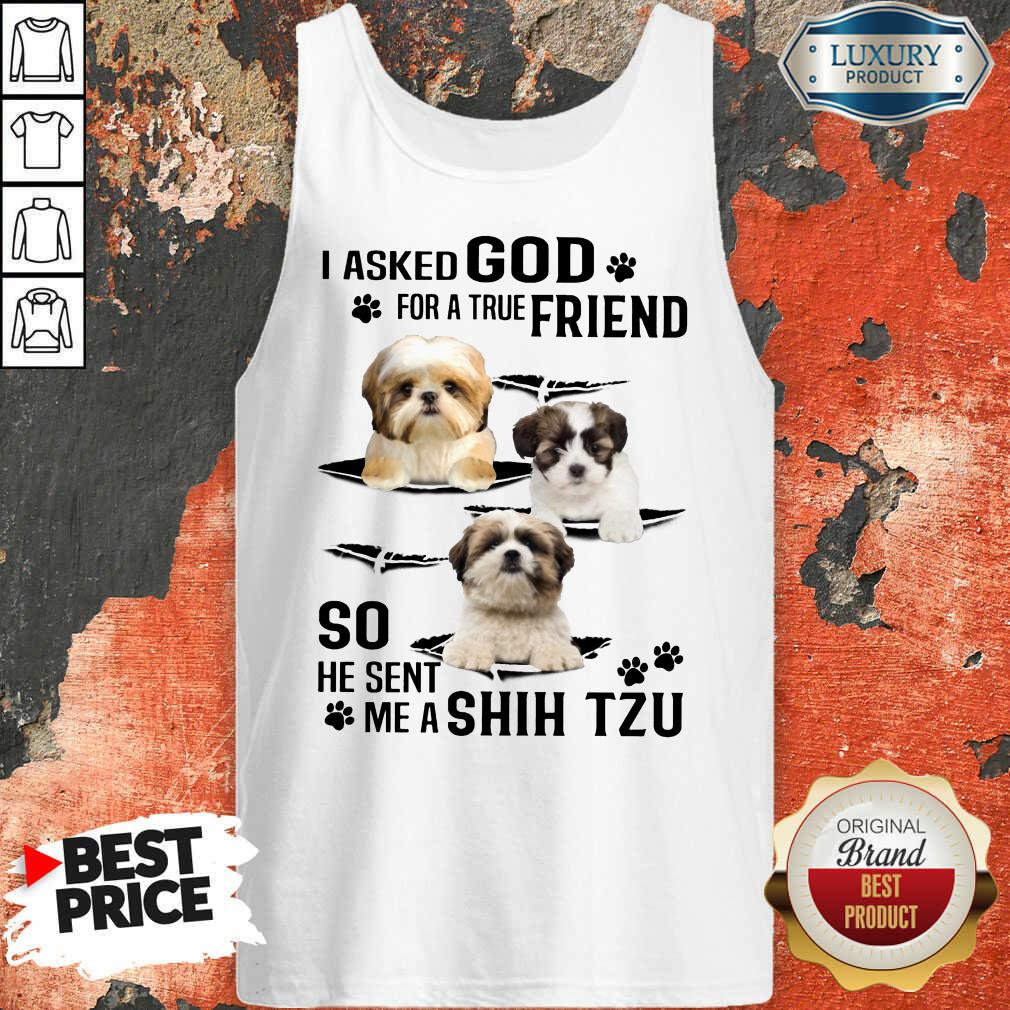 I Asked God For A True Friend So He Sent Me A Shih Tzu Shirt