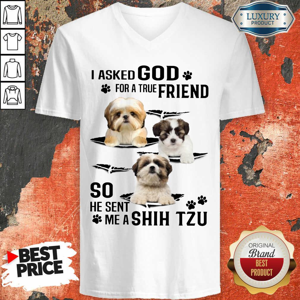I Asked God For A True Friend So He Sent Me A Shih Tzu Shirt