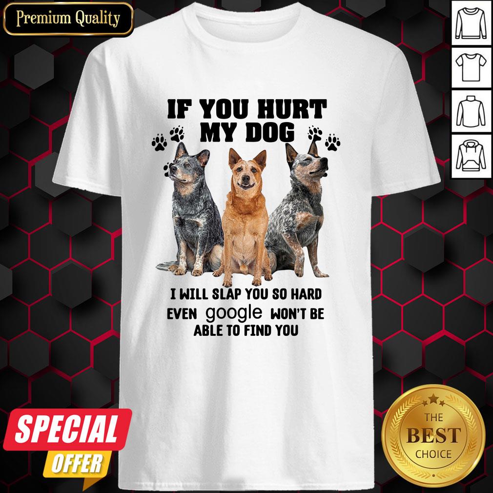 if-you-hurt-my-dog-i-will-slap-you-so-hard-even-google-wont-be-able-to-find-you-shirt.jpg
