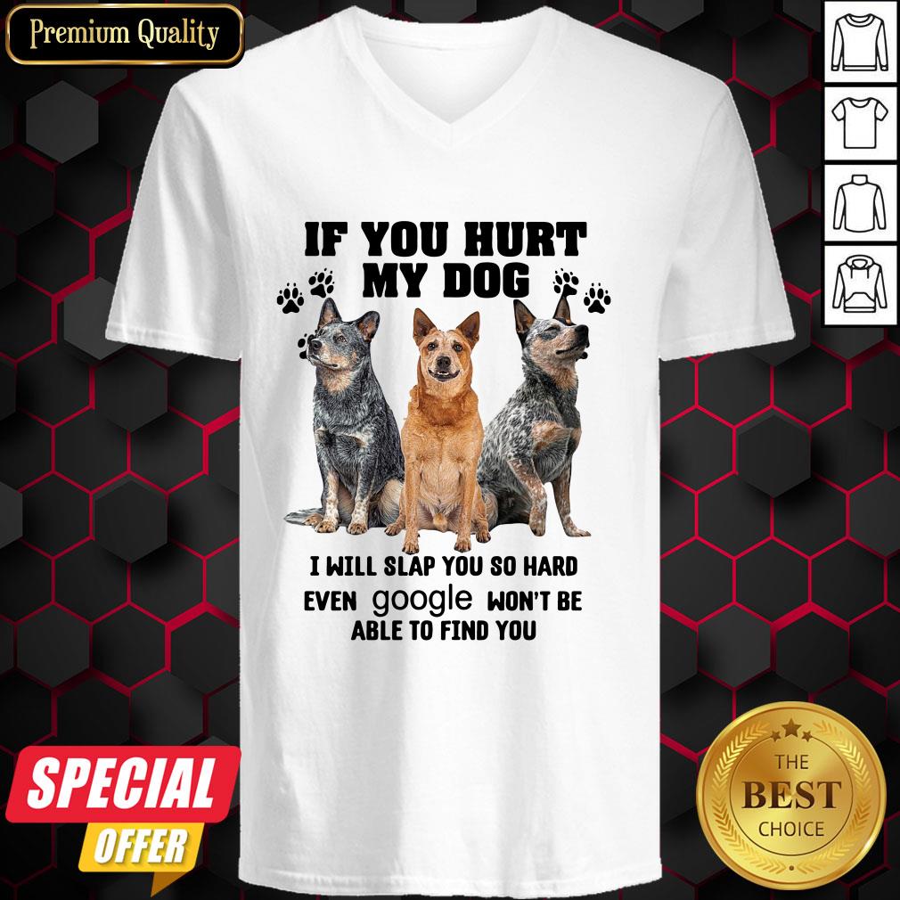 if-you-hurt-my-dog-i-will-slap-you-so-hard-even-google-wont-be-able-to-find-you-v-neck.jpg