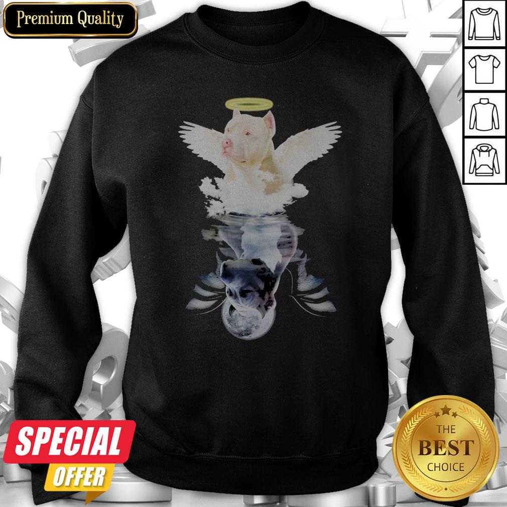 Pit Bull Angel And Devil Water Reflection Mirror Shirt