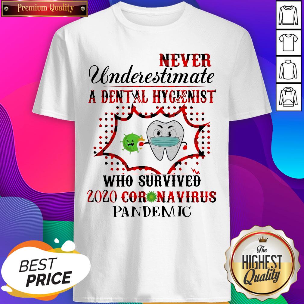 never-underestimate-a-dental-hygienist-shirt.jpg