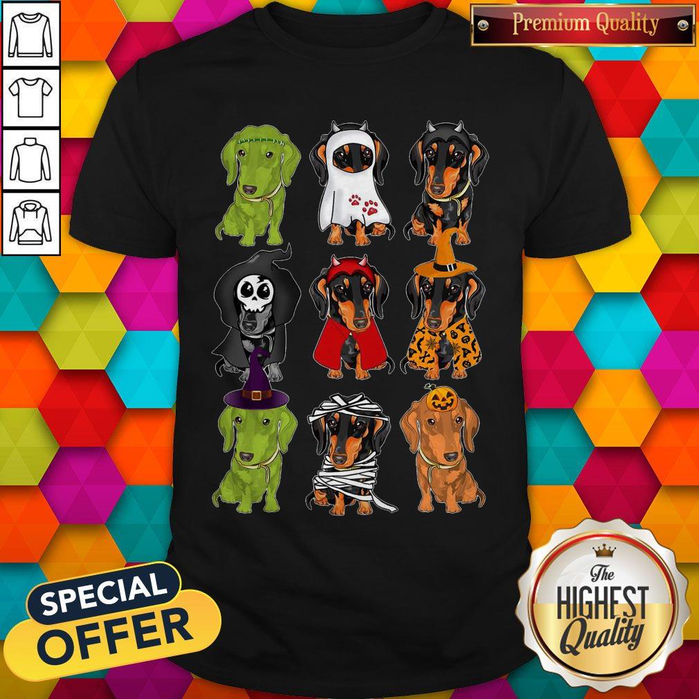 Nice Daschund Haloween Chacracters Shirt