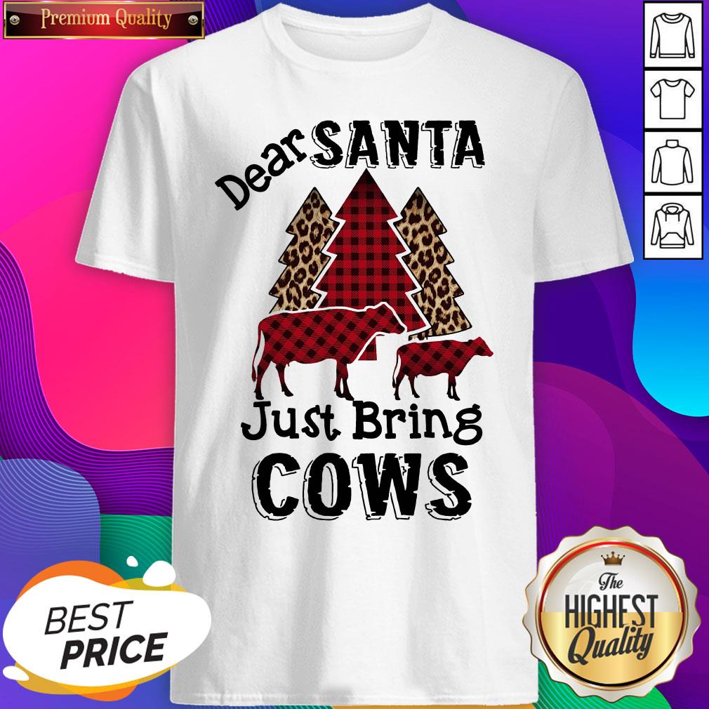 Top Dear Santa Just Bring Cows Shirt