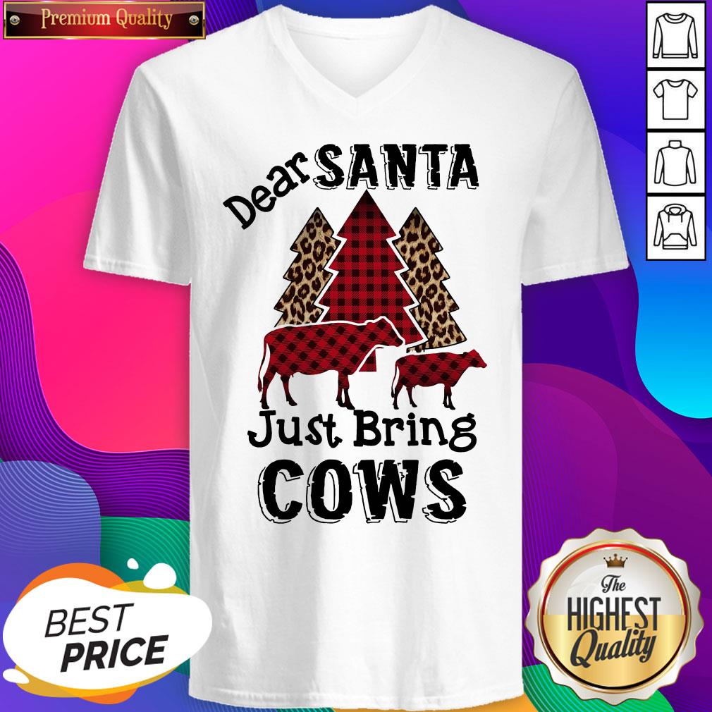 Top Dear Santa Just Bring Cows Shirt